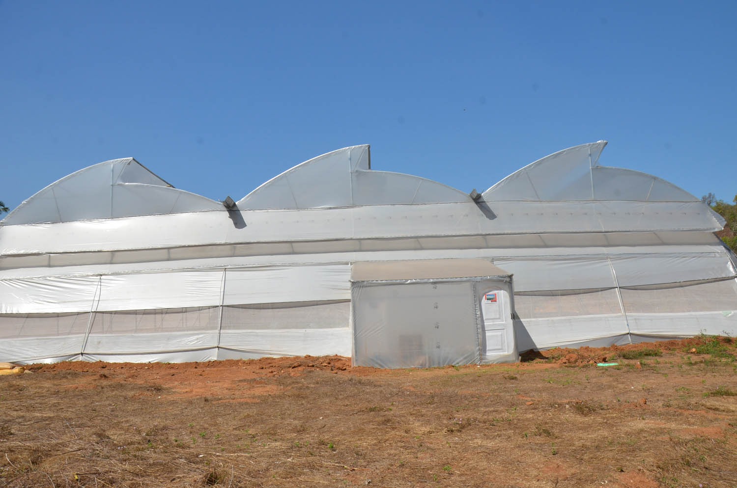 Greenhouse Project 29